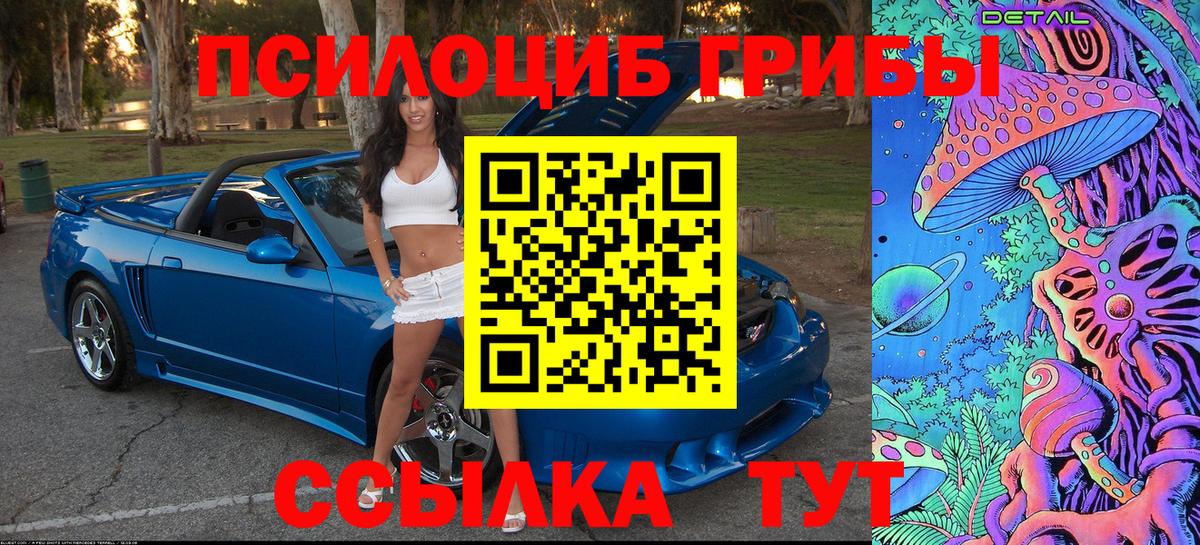 Галлюциногенные грибы GOLDEN TEACHER Георгиевск