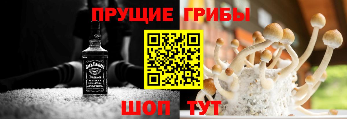 Георгиевск  Галлюциногенные грибы Cubensis  Вход с VPN 